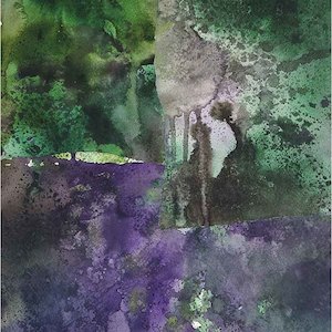 Jo Dalgety: Silver lichen (Ngātea)