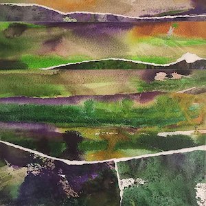 Jo Dalgety: Kaihere lookout