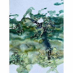 Allora Then Therefore Now Xmas 2020: Spirogyra Surface