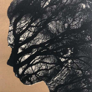 Towards Strangeness: Dryad II