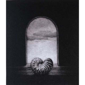 Nan Mulder: Nautilus