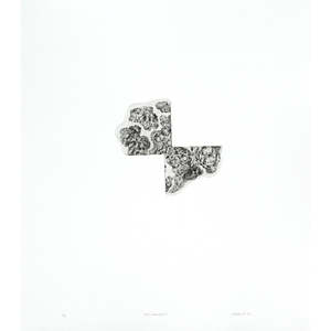 Kyla Creswell: Bush Remnant III