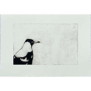 Catherine Macdonald: The Observer