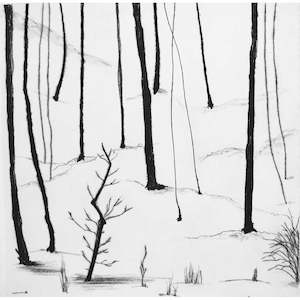 Kyla Creswell: Elsewhere - Hillside II