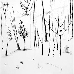 Kyla Creswell: Elsewhere - Hillside I