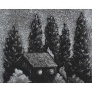 Kyla Creswell: A Light in the Forest