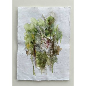 Fiona Cable: Northern Rātā – Epiphyte