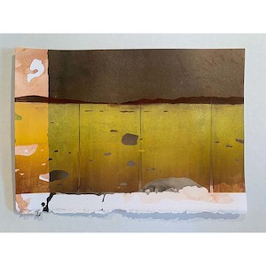 Rachel Schanzer: Exposed 1