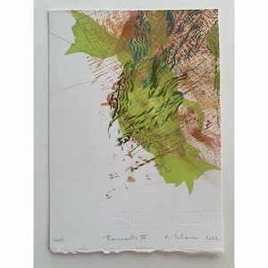 Rachel Schanzer: Remnants III