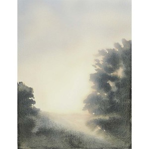 Kyla Covic: Coastal Walk V