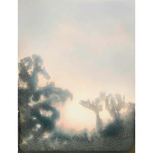 Kyla Covic: Coastal Walk III