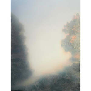 Kyla Covic: Coastal Walk I