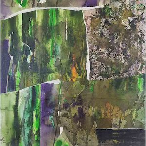 The woods were swampy