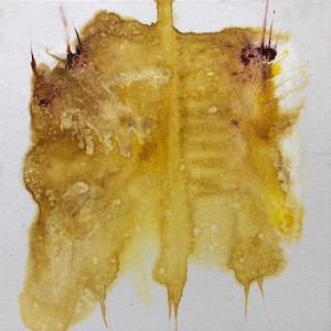 Beyond The Invisible: Extinction