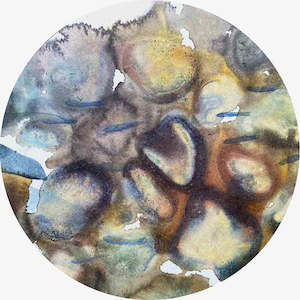 Fluidity: Aquifer Life VIII