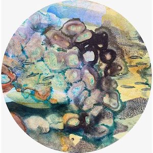 Fluidity: Aquifer Life III