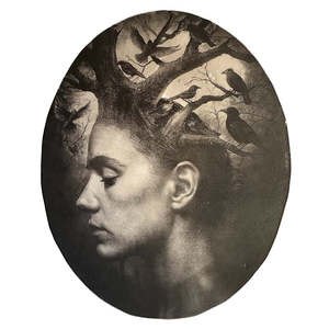 Libertas Eligendi Freedom To Choose Artist Prue Macdougall: The Bird Bearer