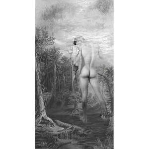 Libertas Eligendi Freedom To Choose Artist Prue Macdougall: Naturae Nudus vail IV