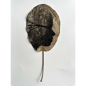 Libertas Eligendi Freedom To Choose Artist Prue Macdougall: Woodland Sleeper