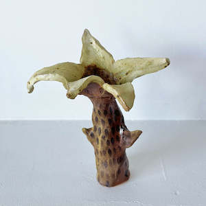 Wildy Jenn Leov: Large Flower 1