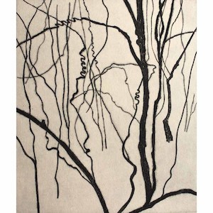 Bushwalk - Remnant II