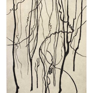 Kyla Creswell: Bushwalk - Remnant I