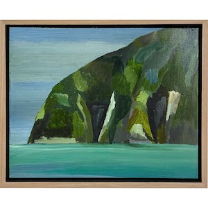 Tutukaka Coast Headland from the sea