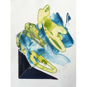 Fiona Cable: In Transit