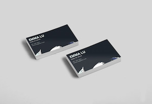 BUSINESS CARDS: BUSINESS CARD PREMIUM - 1 SIDED