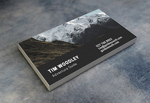 BUSINESS CARDS: BUSINESS CARD STANDARD - 1 SIDED