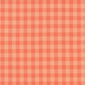 Nectarine Gingham Kitchen Window Woven - Elizabeth Hartman for Robert Kaufman Fabrics