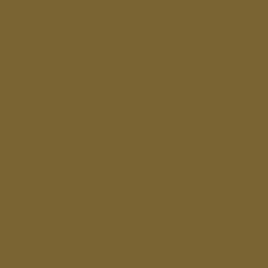 Golden Bronze - Art Gallery Pure Solids