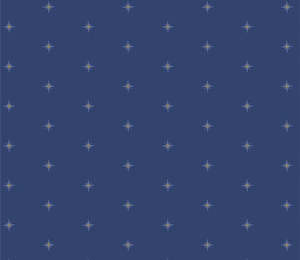 Starling Shining Stardusk Fat Quarter - Maureen Cracknell for Art Gallery Fabrics