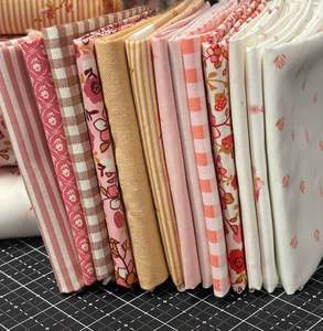 New At Rainbow Stash: Fairview Avenue Inspired Pink Bundle (13) - Mixed Designers