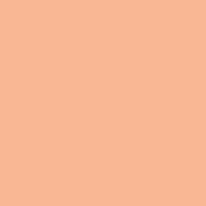 Fabric Art Gallery Fabrics: Suzy Quilts Signature Pure Solids Shrimpy PES-907 | Art Gallery Fabrics