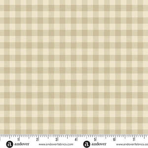 Special Delivery Gingham Linen – A-1673-LN | Edyta Sitar