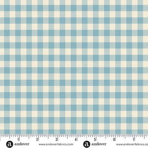 Special Delivery Gingham Chambray – A-1673-B | Edyta Sitar