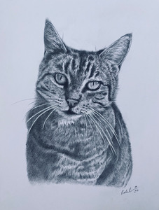Custom Art: A3 Pencil Portraits (11" x 14" 28cm x 35cm)