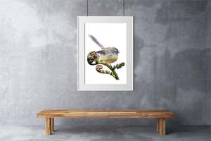 Prints: Fantail / Piwakawaka Print
