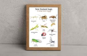 Prints: NZ bug print