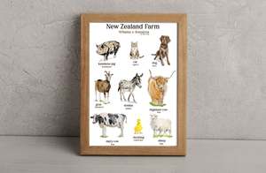 Prints: NZ farm Animals print 2