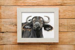Buffalo print