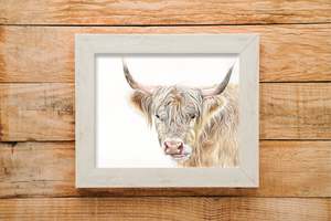Highland cow print