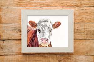 Prints: Hereford cow print