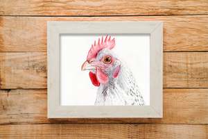 Chook print