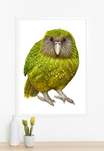 Kakapo Print