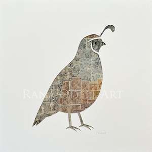 Gallery: California Quail