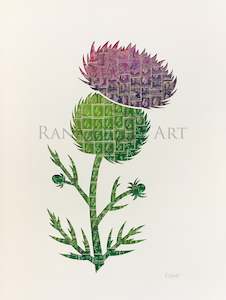 Scottish Thistle