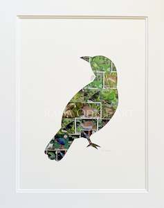 Kiwiana: NZ Tui, 11x14 inches