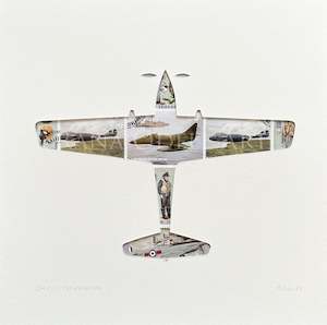 DHC-1 Chipmunk - NZ stamps, 8x8 inches